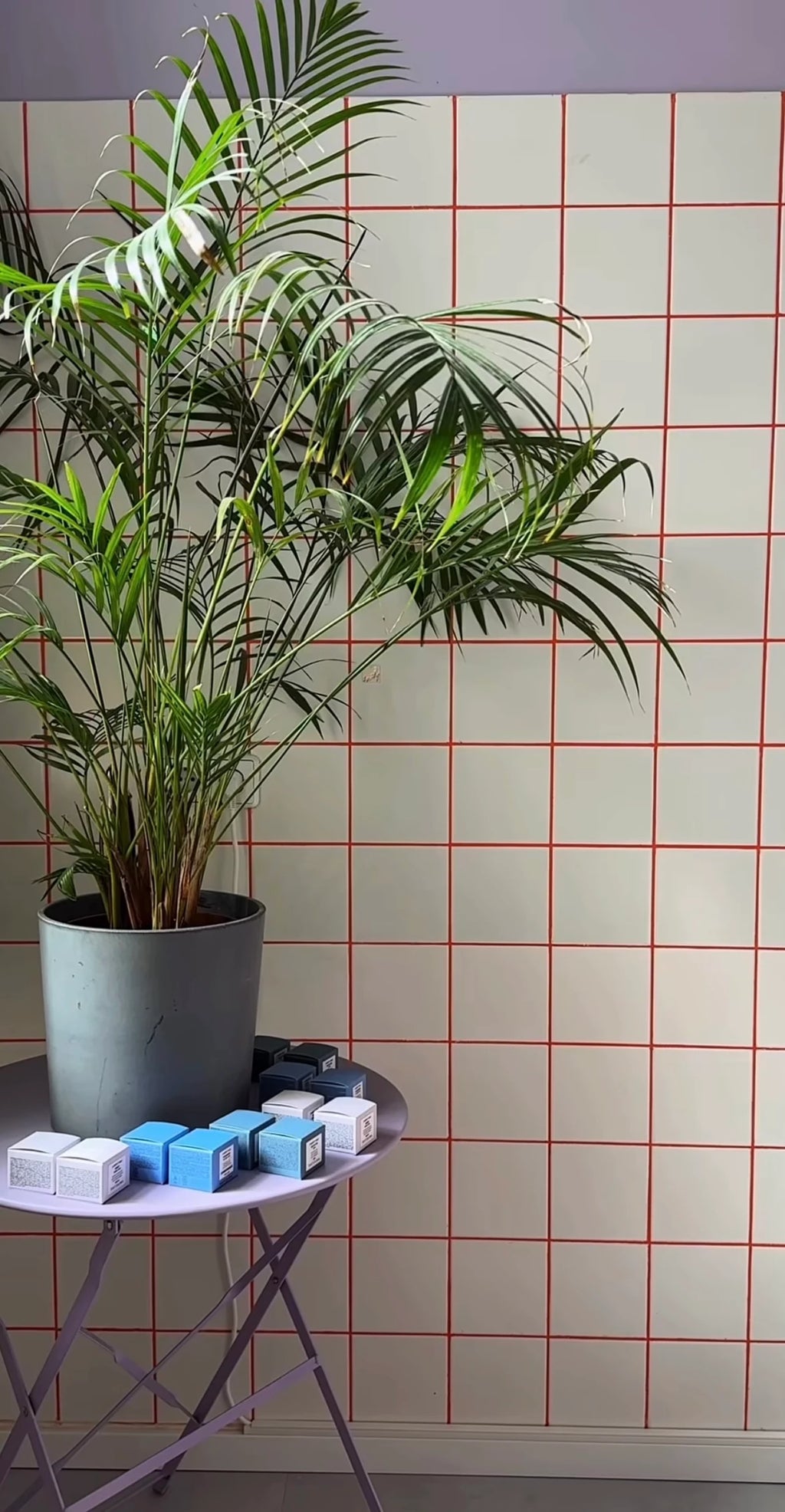 Tangerine Twist grout color