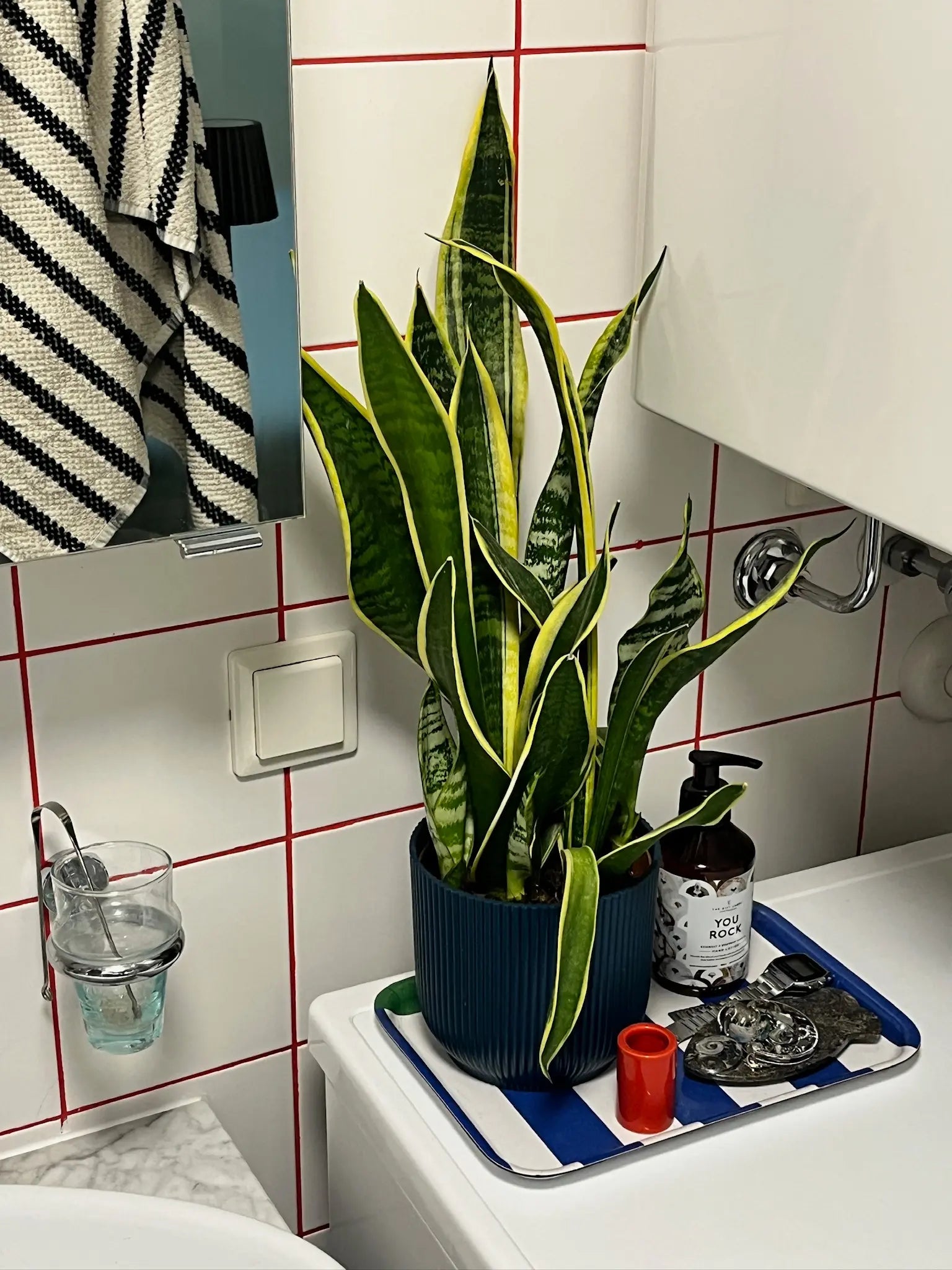 grout color Bold Rouge