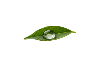 Minimalistisches Icon oder Foto eines Wassertropfens auf einem grünen Blatt, weißer Hintergrund.